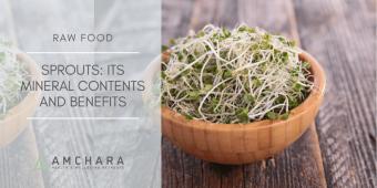 Sprouts_ its Mineral Contents and Benefits