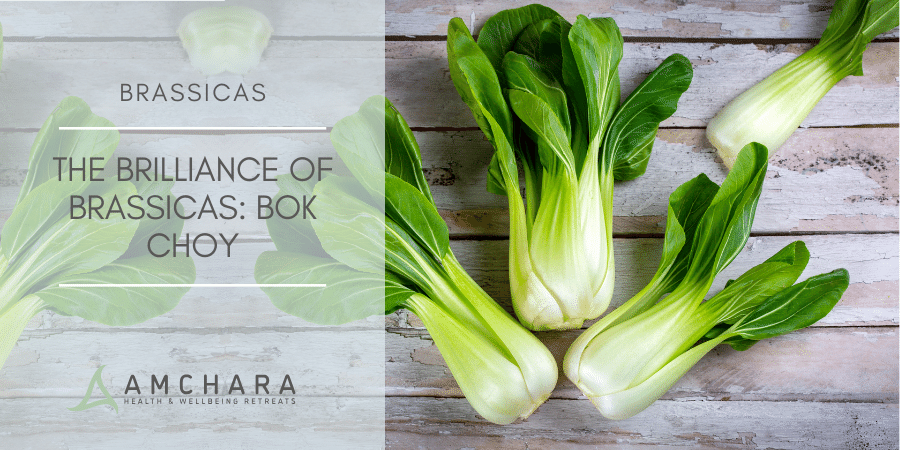 The Brilliance Of Brassicas_ Bok Choy