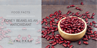 Kidney Beans as an Antioxidant