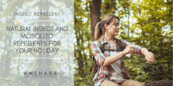 Natural Insect and Mosquito Repellents for Your Holiday