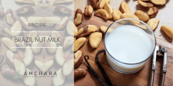 Brazil Nut Milk