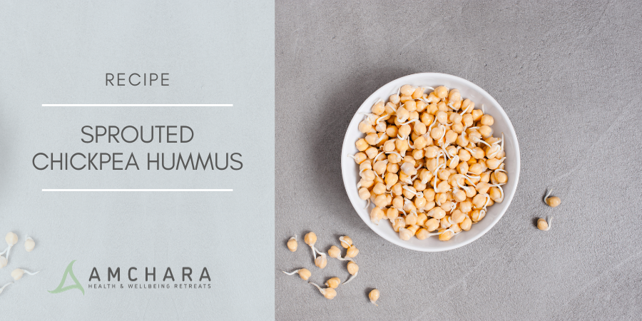 Sprouted Chickpea Hummus