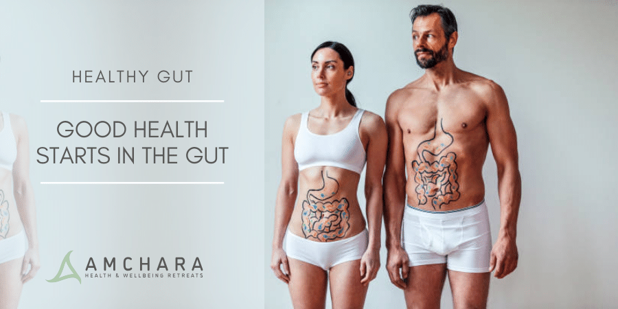 Good Health Starts in the Gut