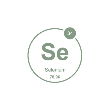 Selenium (Icon)