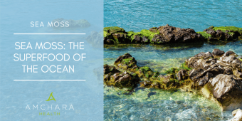 health benefits of sea moss