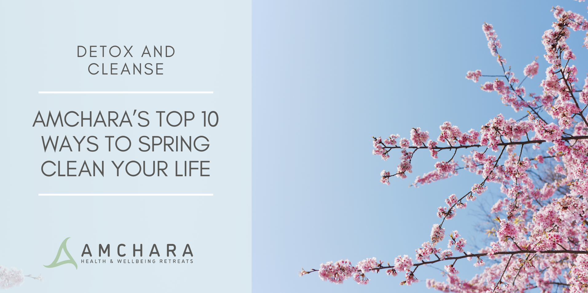 Amchara’s Top 10 Ways to Spring Clean your Life