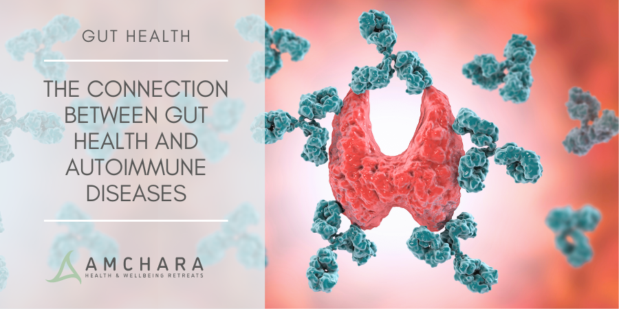 The Connection Between Gut Health and Autoimmune Diseases