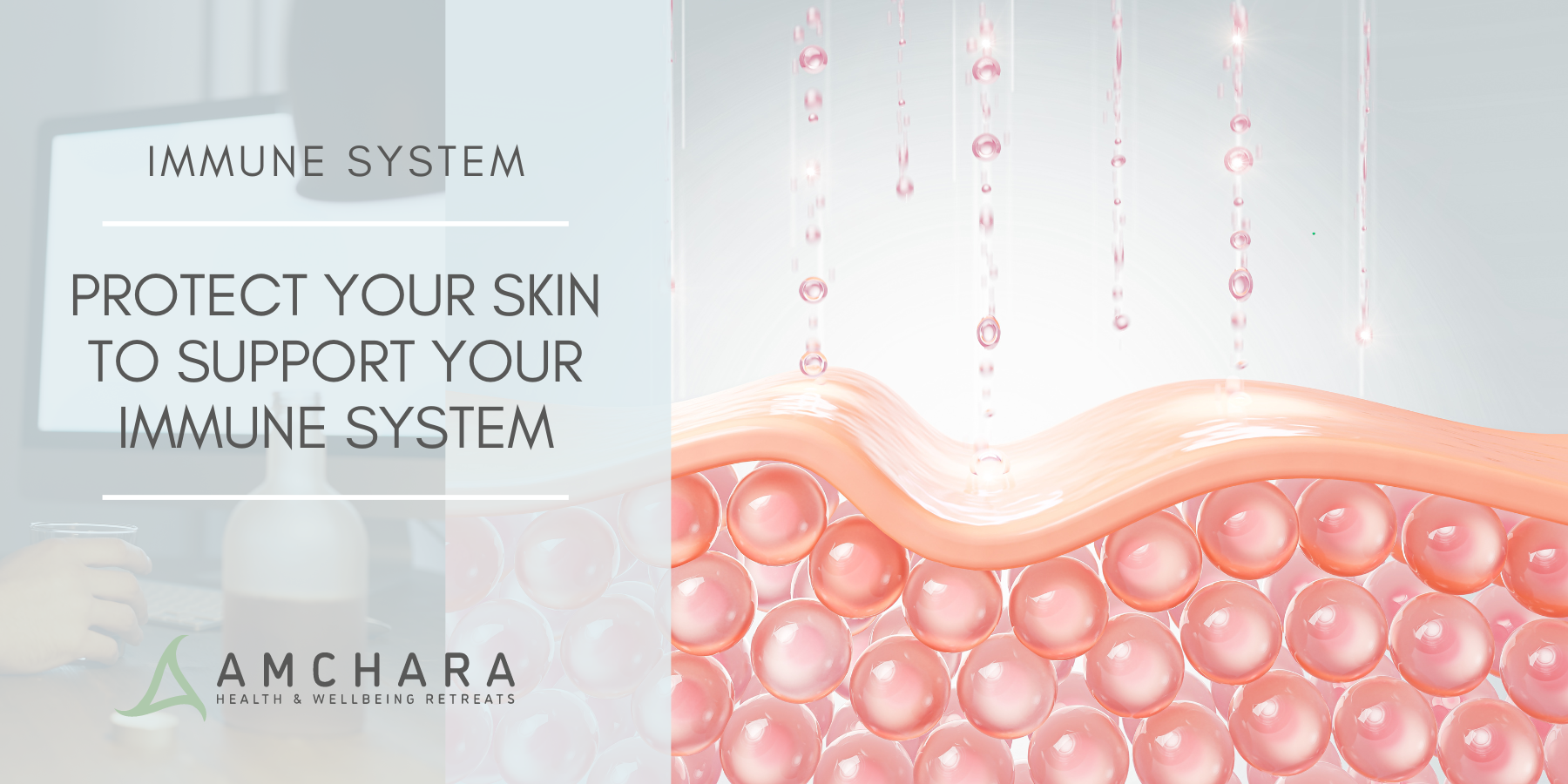 Protect Your Skin to Support Your Immune System