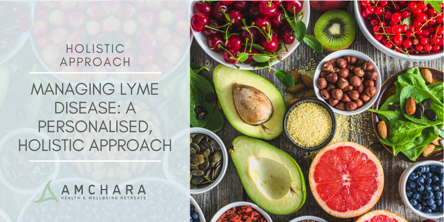 Managing Lyme Disease A Personalised, Holistic Approach