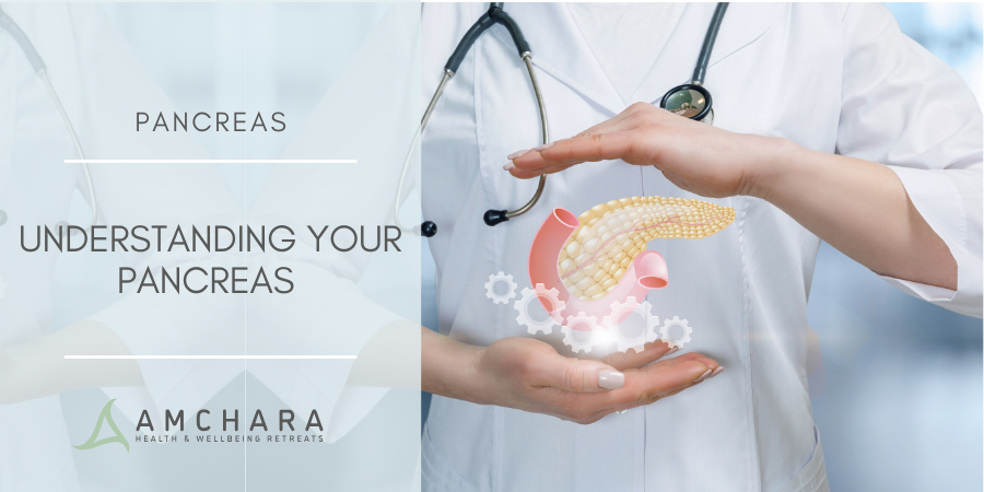 Understanding Your Pancreas