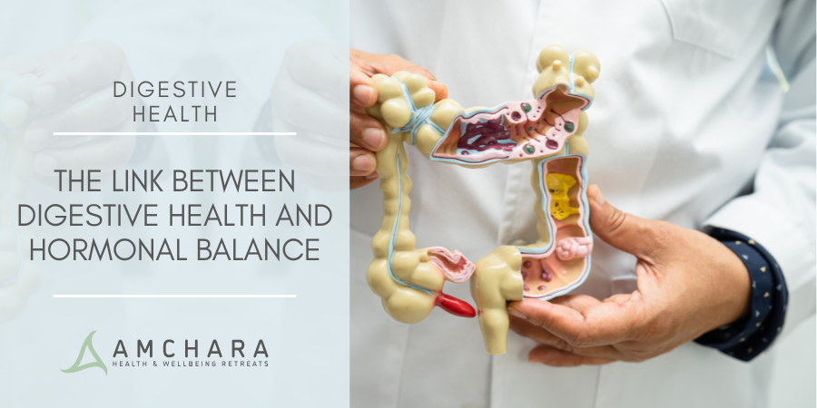 The Link Between Digestive Health and Hormonal Balance